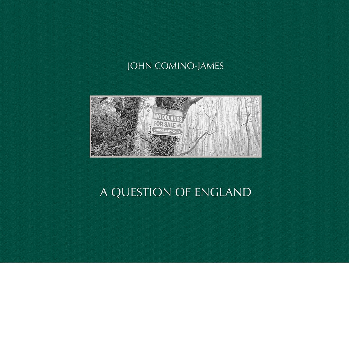 JOHN COMINO-JAMES: A QUESTION OF ENGLAND