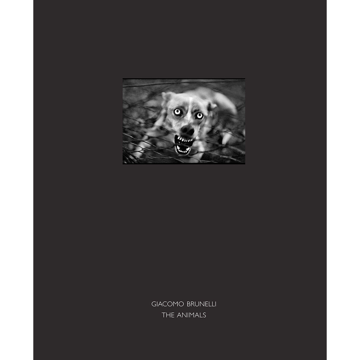 GIACOMO BRUNELLI: THE ANIMALS