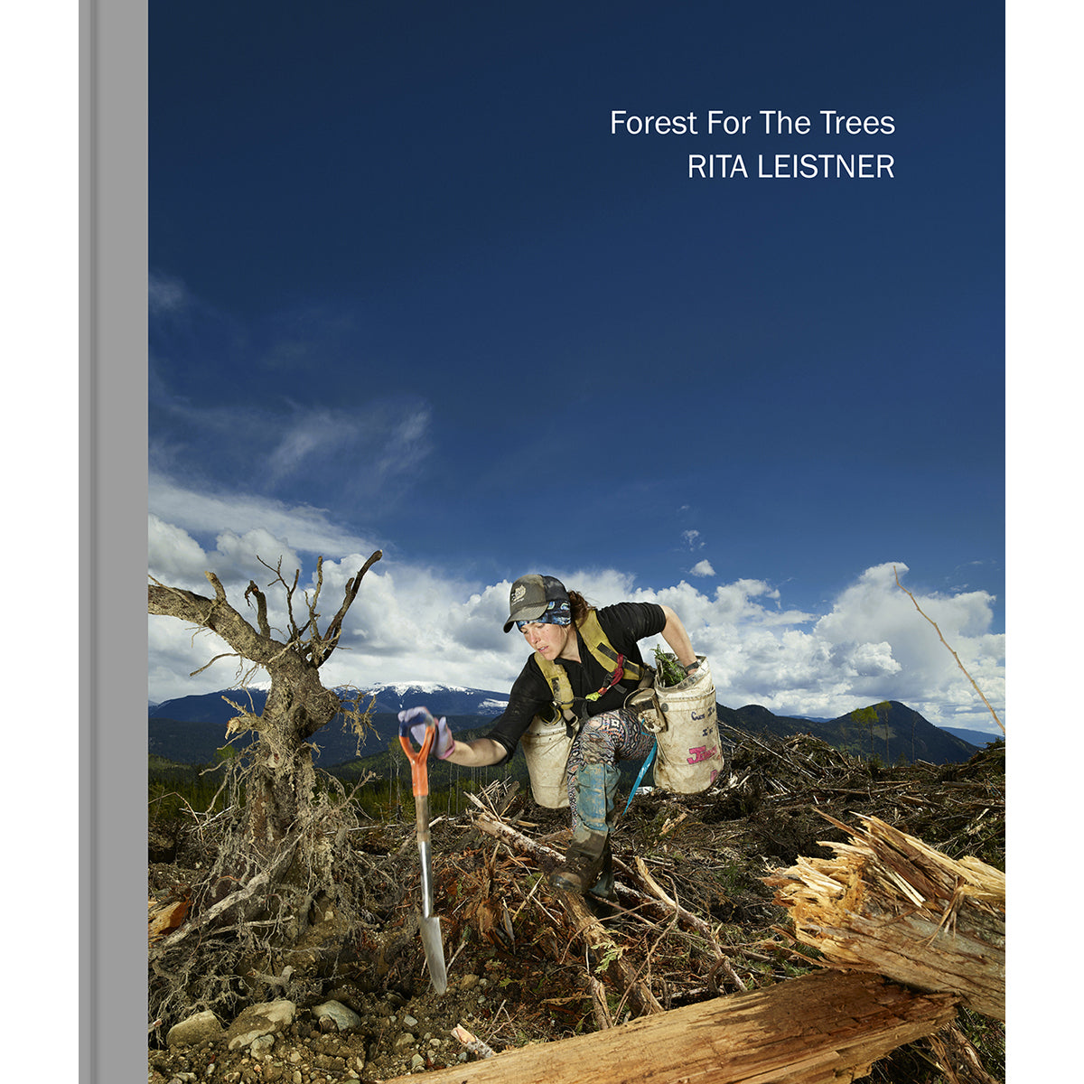 RITA LEISTNER: FOREST FOR THE TREES