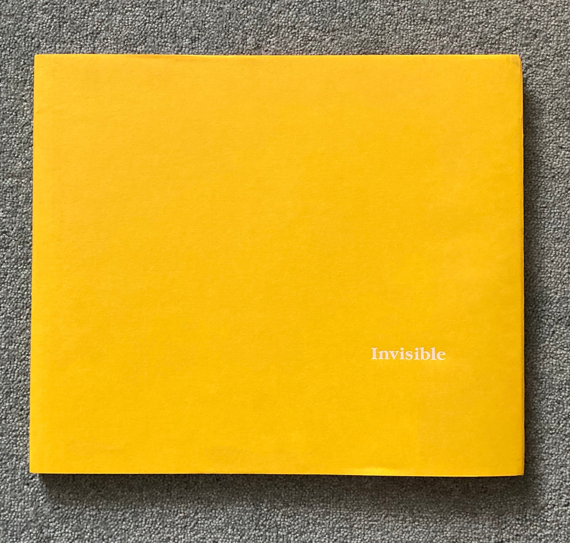 STEPHEN GILL: Invisible