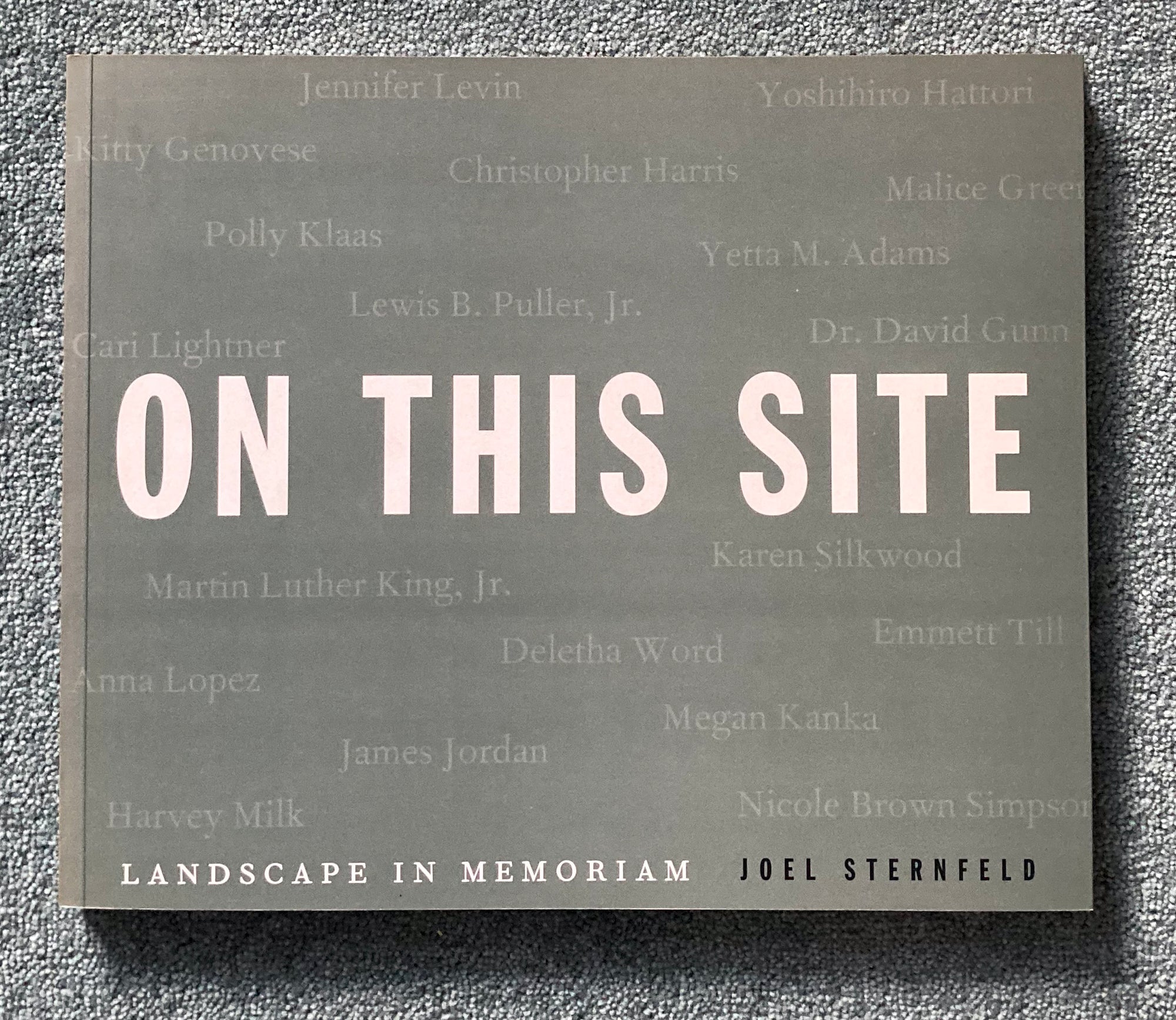 JOEL STERNFELD: On This Site: Landscape in Memoriam