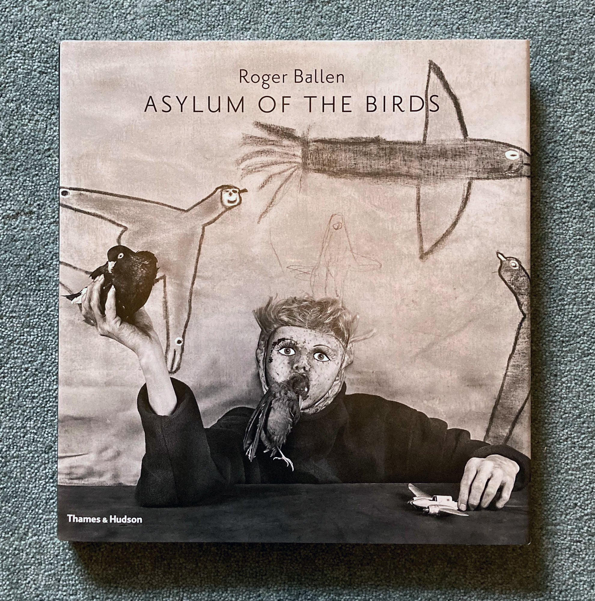 ROGER BALLEN: Asylum of the Birds