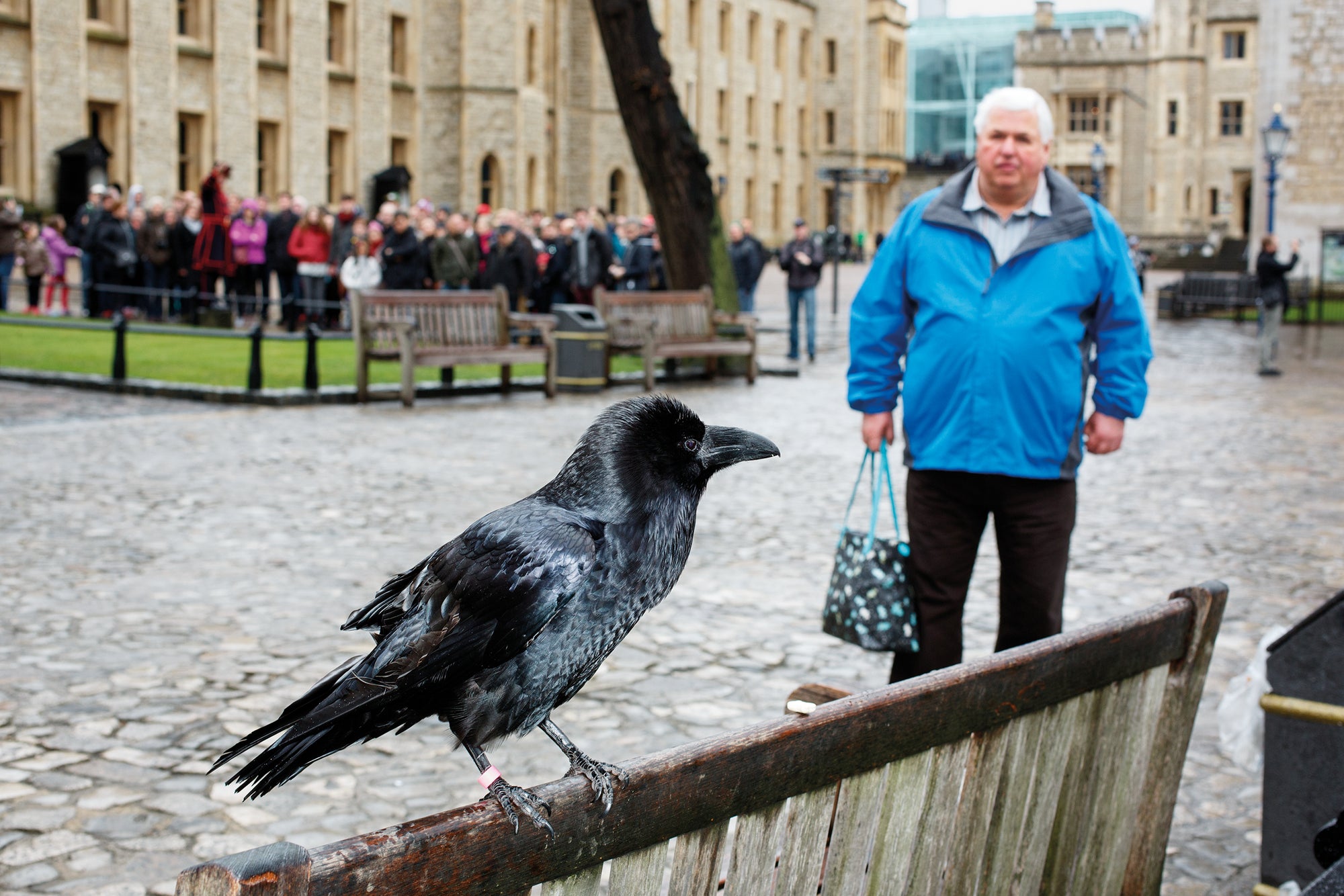 MARTIN PARR: SMALL WORLD - NEW REVISED EDITION