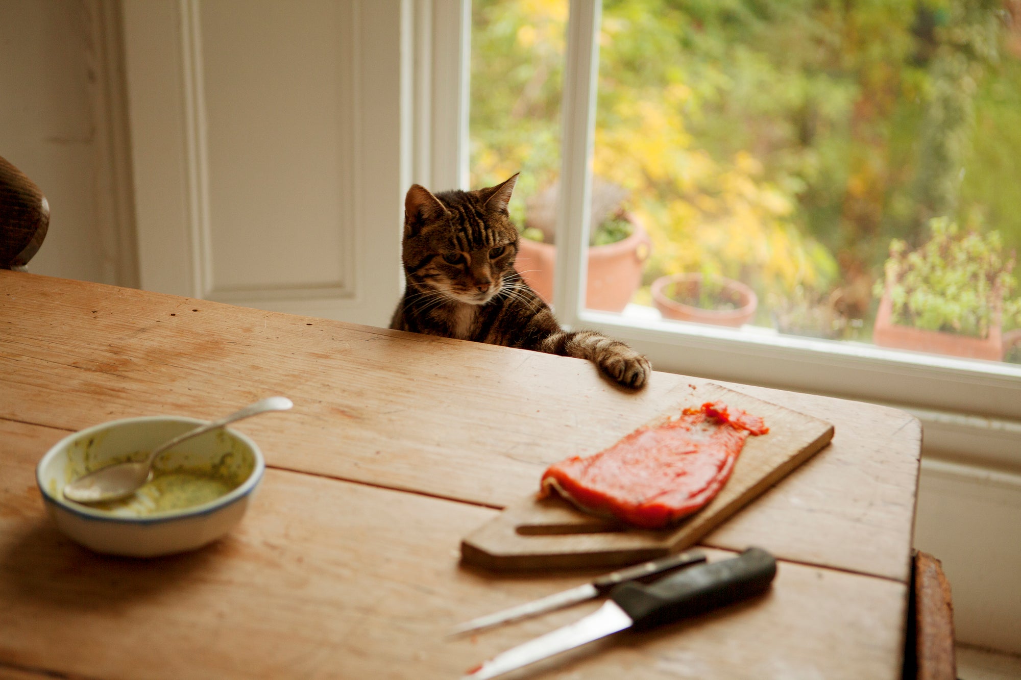 A Stranger in my Mother's Kitchen