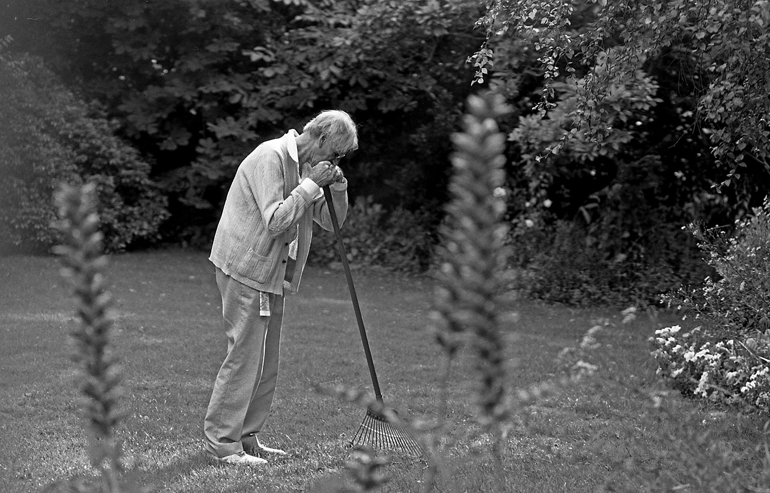 PADDY SUMMERFIELD: MOTHER AND FATHER