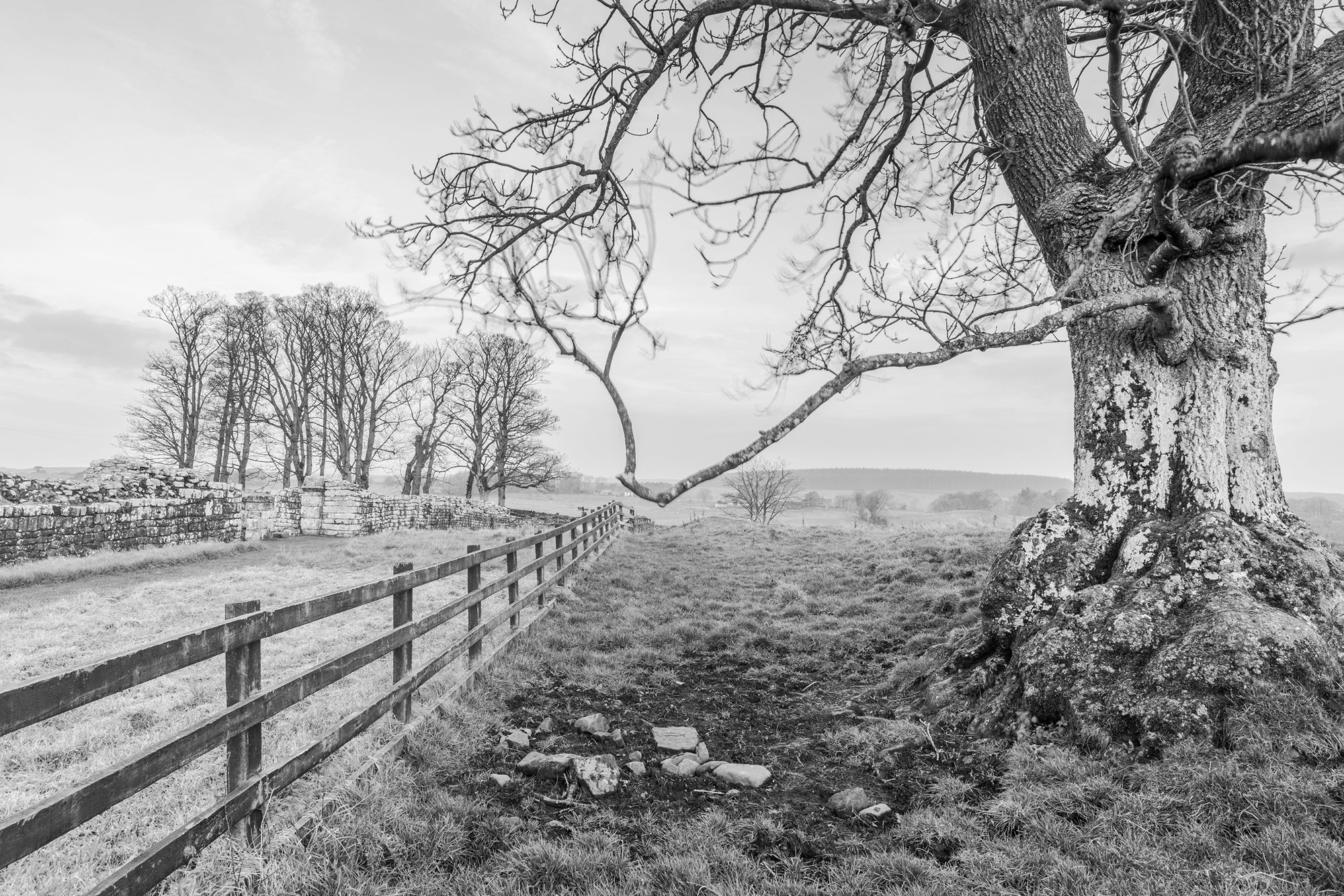 JEAN-PIERRE GILSON: ENGLISH LANDSCAPES