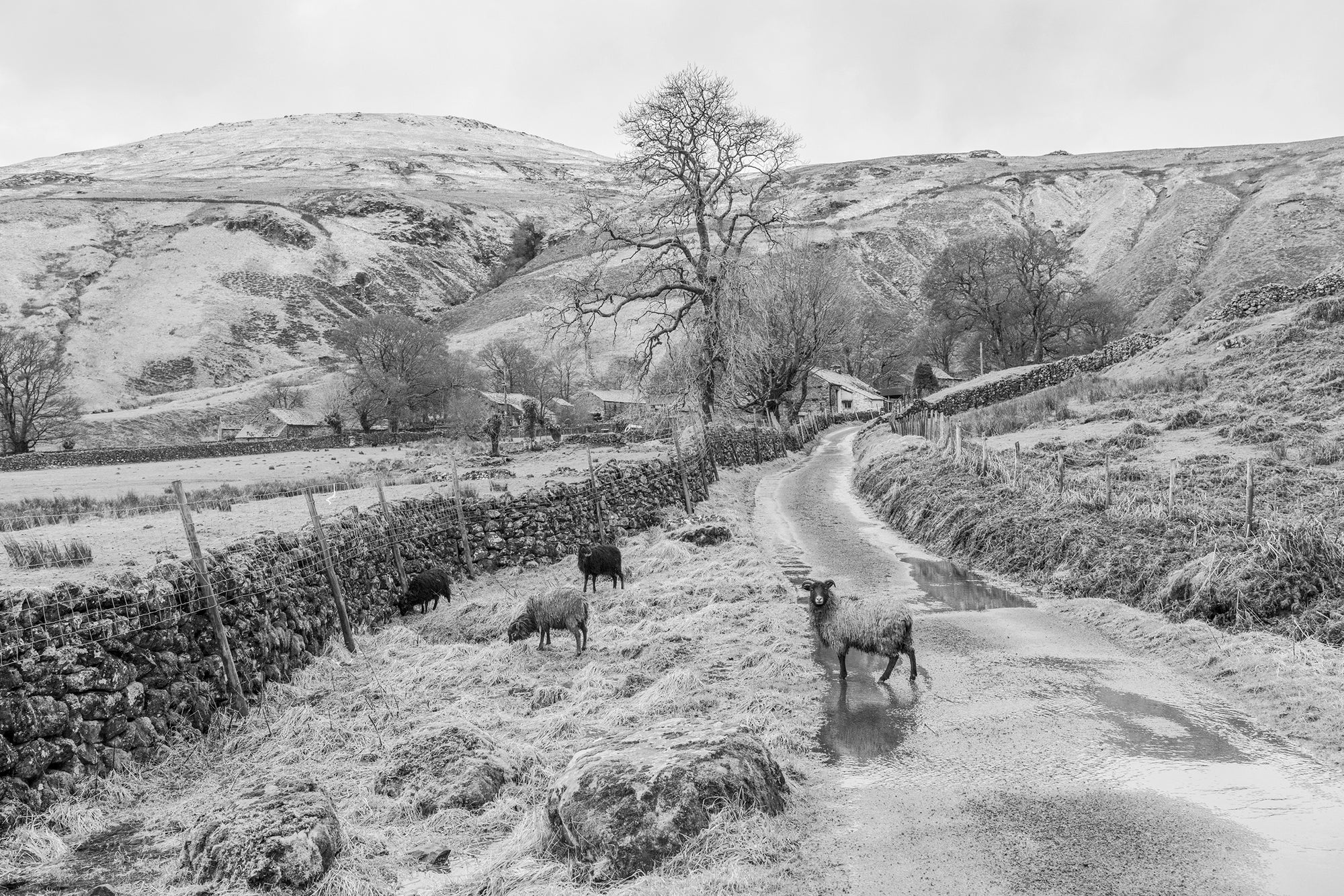 JEAN-PIERRE GILSON: ENGLISH LANDSCAPES