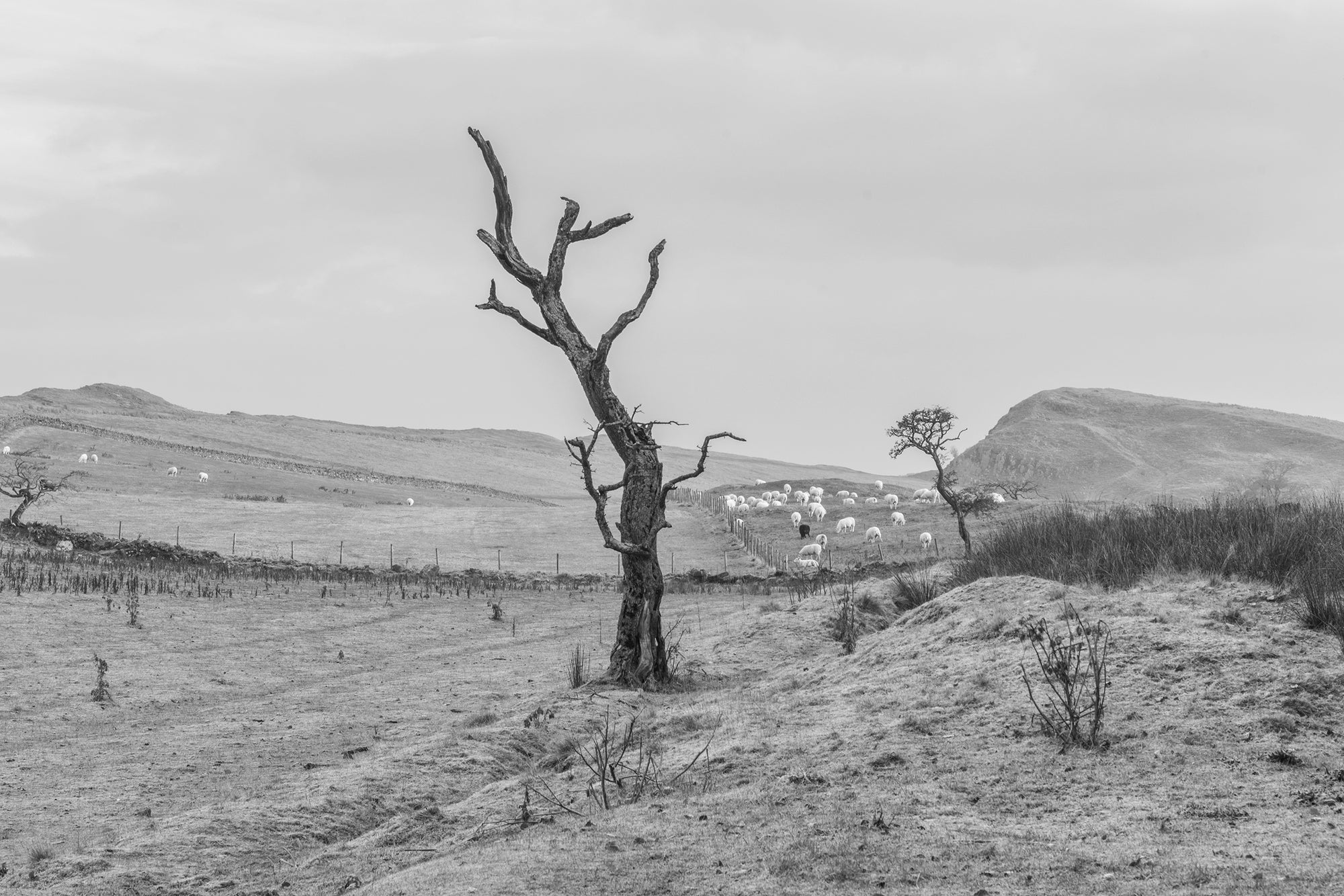 JEAN-PIERRE GILSON: ENGLISH LANDSCAPES