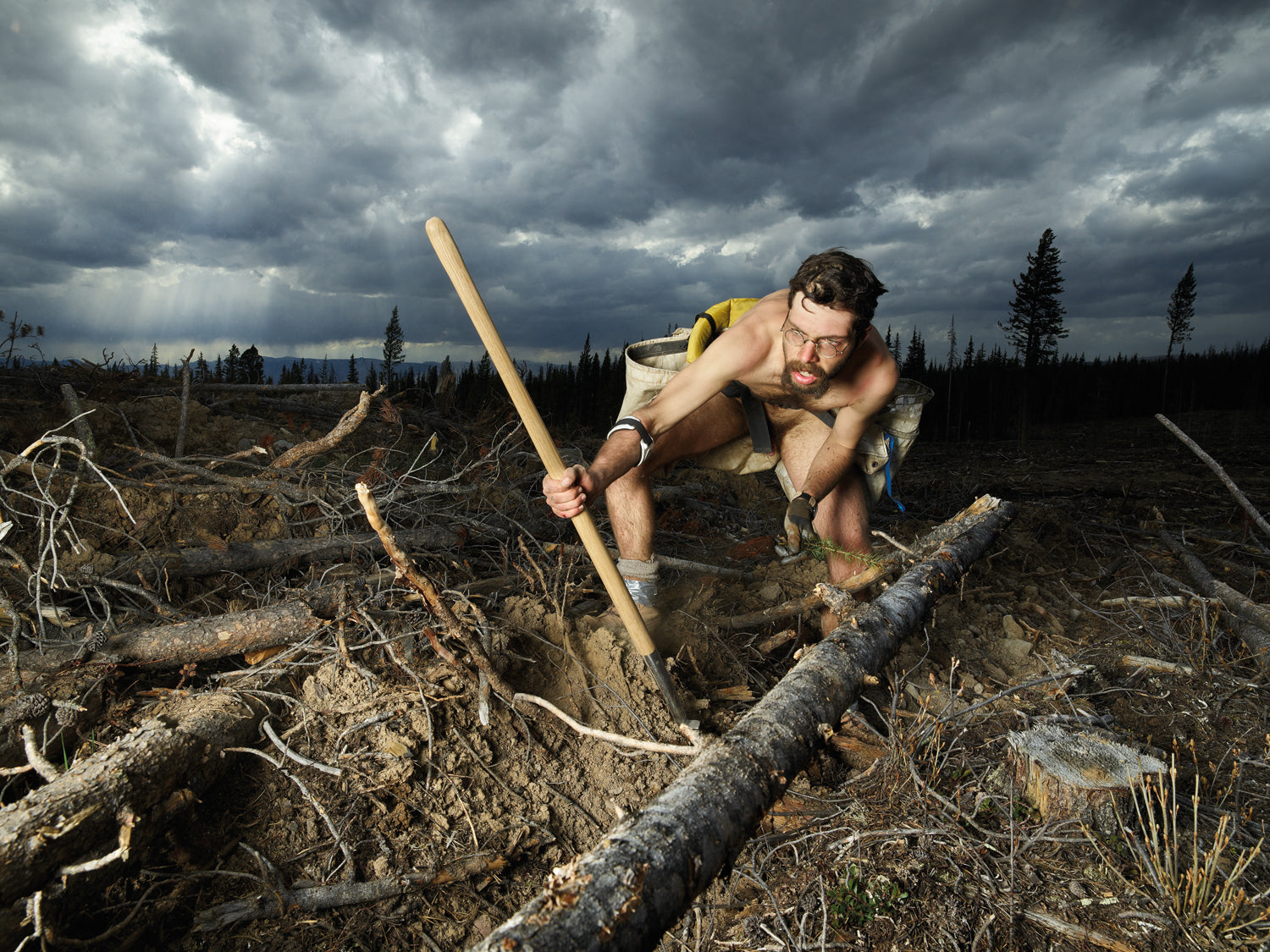 RITA LEISTNER: FOREST FOR THE TREES